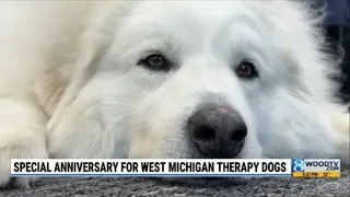 Special anniversary for West Michigan therapy dogs