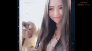 hot girl with funniest animals tiktok video best of funny animal videos 6 random animals chanel