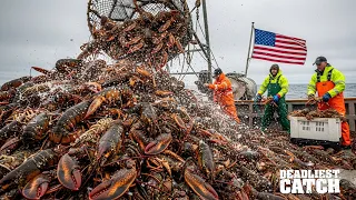 Inside America s 500 Million Lobster Harvest - Dangerous Jobs at Sea Fishing Documentary
