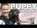 5 Puppy Training WINS You Should Get EVERY Morning