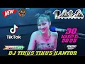 Download Lagu DJ TIKUS TIKUS BERDASI - DJ LALA BEATLOOP MP CLUB