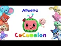 Itsy Bitsy Spider Song | Cocomelon - Nursery Rhymes | Fun Cartoons For Kids