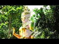 Devotion | Healing Flute (Iftekharul Anam)