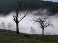 Loreena McKennitt  Greensleeves