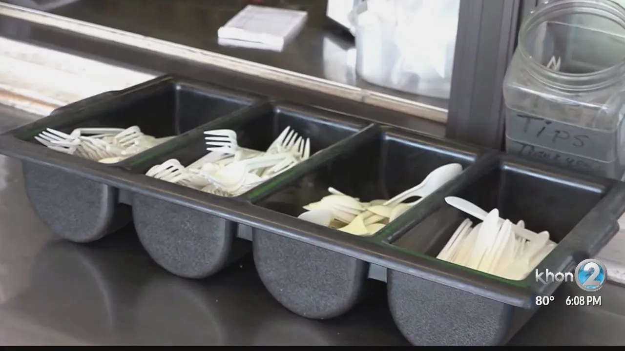 City Council once again looking at banning styrofoam containers and plastic utensils