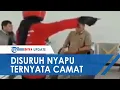 Download Lagu Suruh Wanita Baju Merah Menyapu Sampah, Pria di Samarinda Tak Sadar Ternyata Sosok Itu adalah Camat