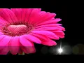 Jill Scott - Wanna Be Loved
