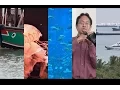 HOW TO CREATE 5-column Split Screen Adobe Premiere Elements Training LANE COM