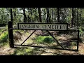 Tangerine Cemetery Zellwood Orange County FL August 2023