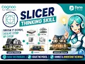 Slicer Thinking Skill
