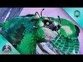 I Made a Beautiful Mutated Snow Owl ARK Extinction E27