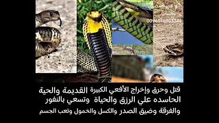 قتل وحرق وخروج الشيطانة الأفعي والحية الحاسده القديمه علي الرزق والمال والحياة وتسبب الضيق والنفور 