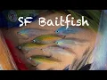 Lagu Saltwater Flytying - Mastering the SF Baitfish