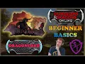 DDO Beginner Basics ~ The Dragonlord