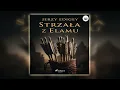 Strzała z Elamu Autor Jerzy Edigey Kryminały po Polsku AudioBook PL
