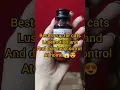 Download Lagu cats luse motion treatment at home 😍 diarrhoea solution 😱#cat #kitten #feline MP3