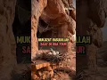 Download Lagu Mukjizat Rasulullah Saat di Gua Tsur || Hijrah Part 2 #kisahislami #nabimuhammad #hijrah