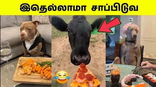 அடப்பாவிங்களா இதெல்லாம் எப்ப சாப்பிட ஆரம்பிச்சீங்க 😂 | புதுசு புதுசா இருக்கு 🤣