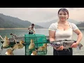Download Lagu Summary of many videos of mountain girls living on fishing lakes and duck raising.