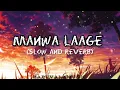 Lagu Manwa laage (slow and reverb) lofi song || #arijitsingh || #shreyaghoshal