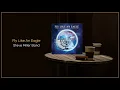 Download Lagu Steve Miller Band - Fly Like An Eagle / FLAC