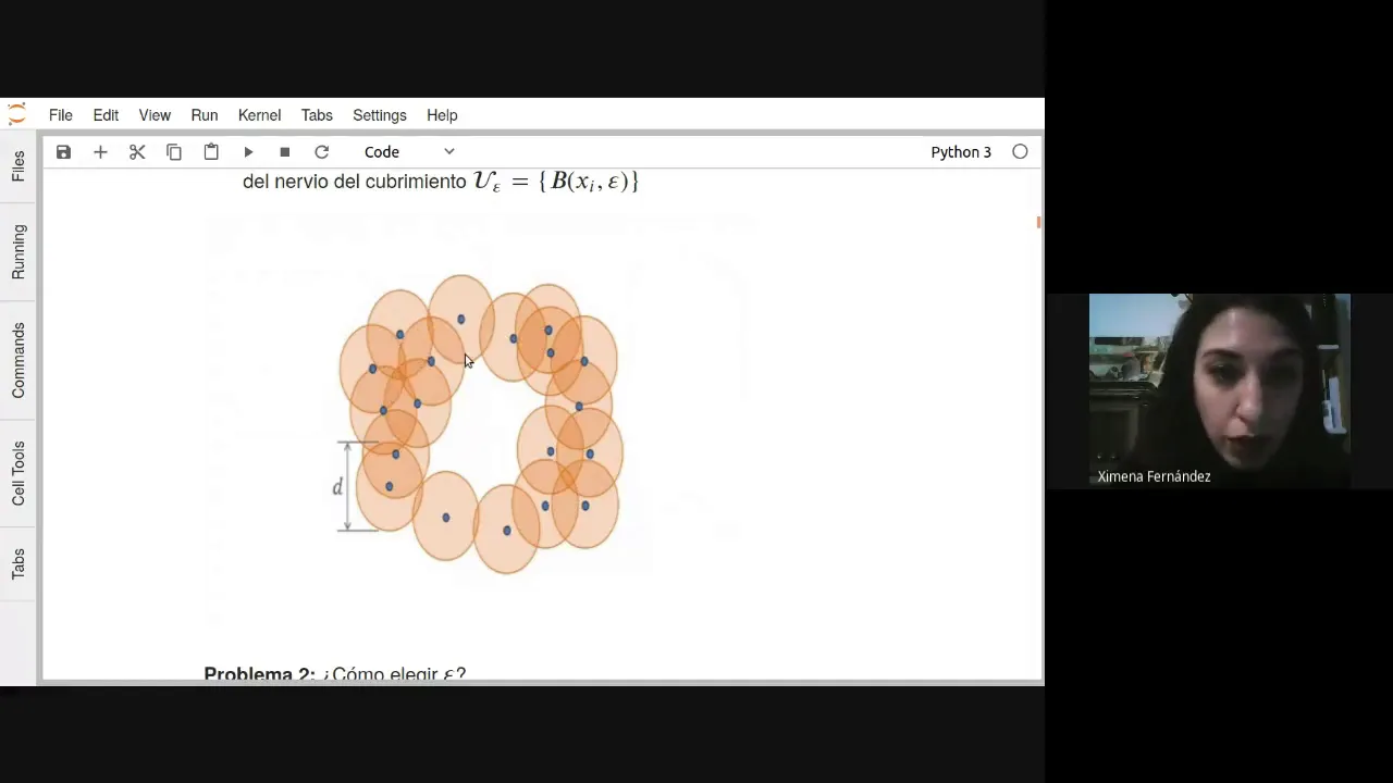 Homología Persistente para el Análisis de Datos - Ximena Fernandez