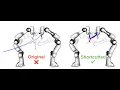 Benchmarking Shortcutting Techniques for Multi-Robot Arm Motion Planning