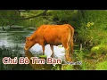 Lagu Bài thơ Chú Bò Tìm Bạn (Phạm Hổ) - Thơ Mầm non - Đọc thơ cho bé nghe - Nấm Mỡ