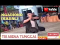 Download Lagu PENCAK SILAT MALANG | Serkeseran Kembangan BPK NGADIONO (KADAL) TRI ARENA TUNGGAL audio glerr