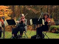 Autumn Leaves - Chad Brown with Strings