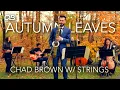 Download Lagu Autumn Leaves - Chad Brown with Strings