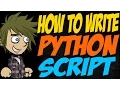 How to Write Python Script