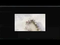LENS DUST EFFECT