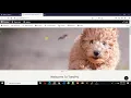 TaraPro Drupal Theme - Insert Additional CSS Codes
