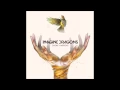 Download Lagu Imagine Dragons   Polaroid