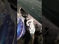 Chevy equinox loss of power steering ABS and traction issues Codes U0121 and U0131 Problem SOLVED