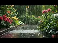 Tranquil Journey Relaxing Music for Peaceful Escape Reflection