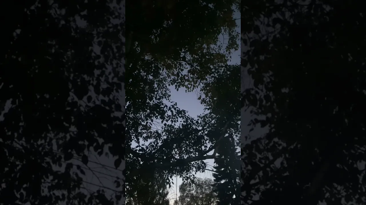 Night sky’s