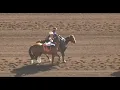 R1-TURF PARADISE - USA