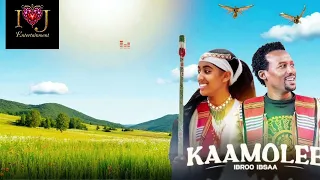 Ibroo Ibsaa Kaamolee New Oromoo Music Lyrics 2025 