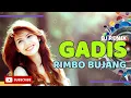 Download Lagu DJ Gadis Rimbo Bujang | Saputra Ft Nunung | Remix Lagu Daerah Jambi
