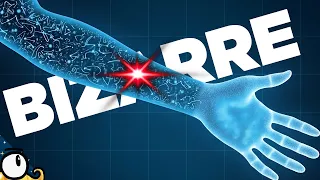 26 BIZARRE BEHAVIORS of the human COPRPS!