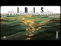 Download Lagu The Goo Goo Dolls – Iris [ LYRICS terjemahan Indonesia ]