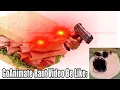 GoAnimate Rant s Be Like
