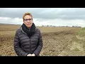 Download Lagu Waarom compost aanbrengen op jouw veld?