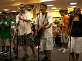 Kolohe Kai- Butterflies