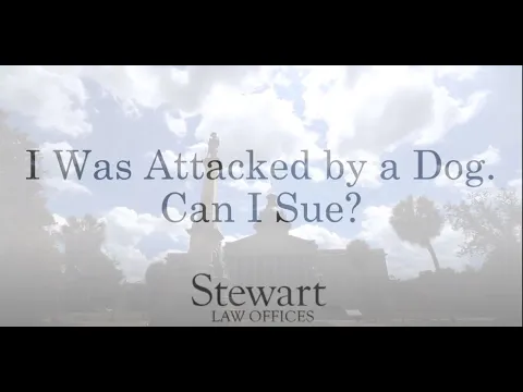 I Was Attacked By a Dog, Can I Sue? – North Carolina, South Carolina – Stewart Law Offices