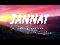 Jannat - Mitraz ( Slowed+Reverb) | Lofi Master