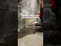Waterproofing Your Basement Prevents Mold Leaks and Moisture