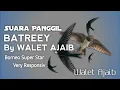 suara panggil walet BORNEO (SP.BATREEY) Original Rakitan Walet Ajaib
